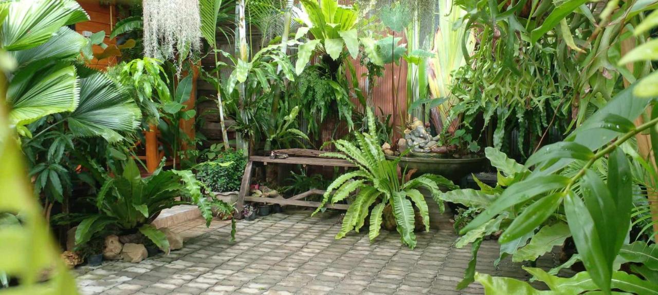 צ'יאנג מאי Ouychai Resort Home Stay מראה חיצוני תמונה