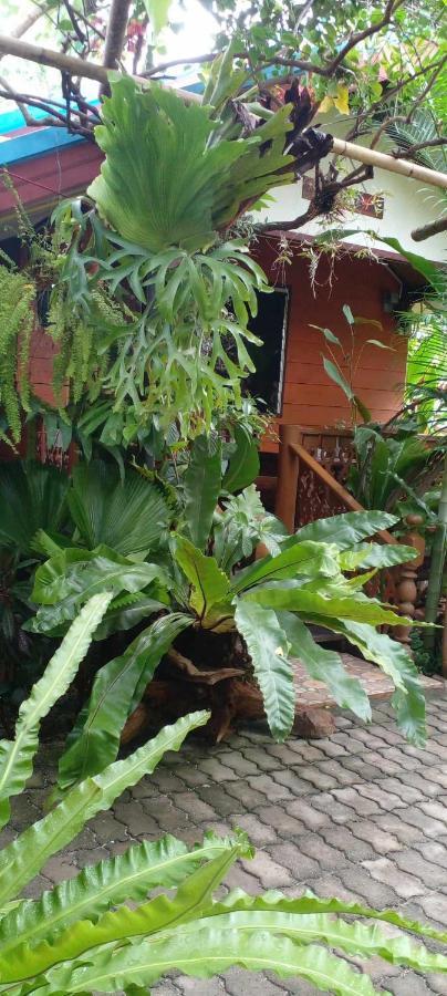 צ'יאנג מאי Ouychai Resort Home Stay מראה חיצוני תמונה