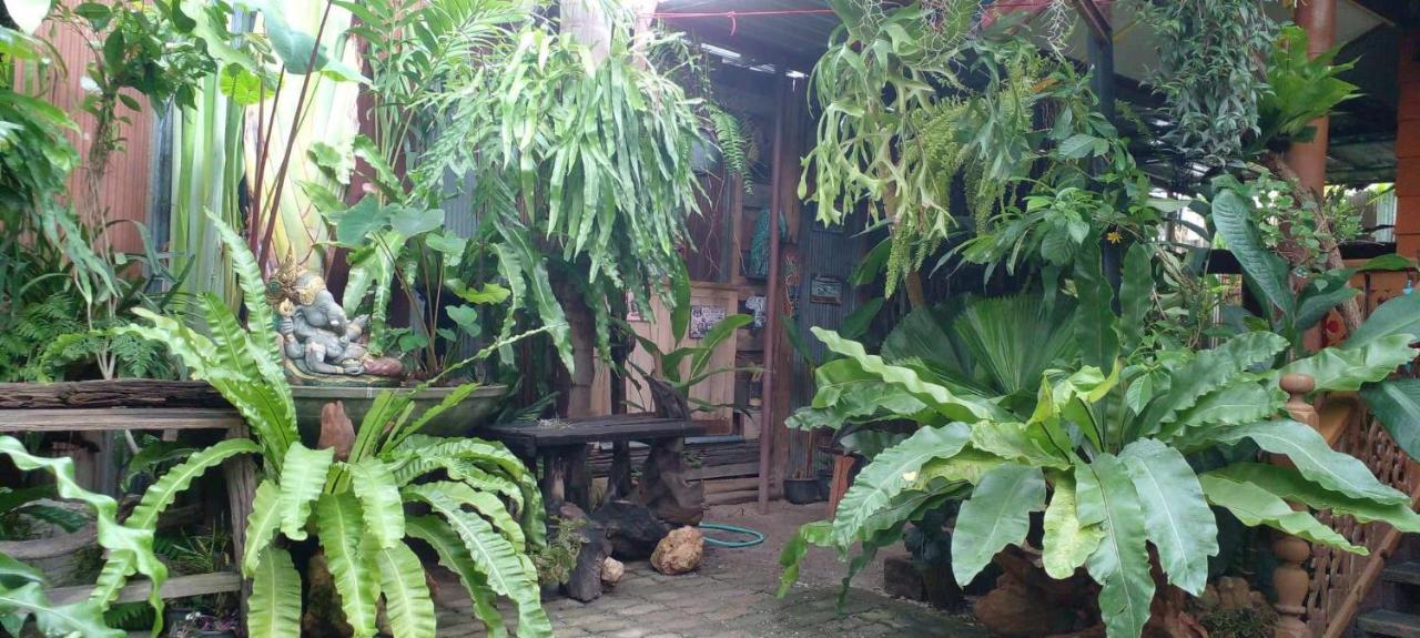 צ'יאנג מאי Ouychai Resort Home Stay מראה חיצוני תמונה